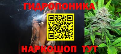 прущие крисы Гай