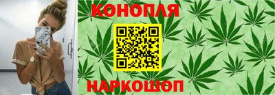 прущие крисы Гай