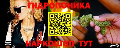 прущие крисы Гай