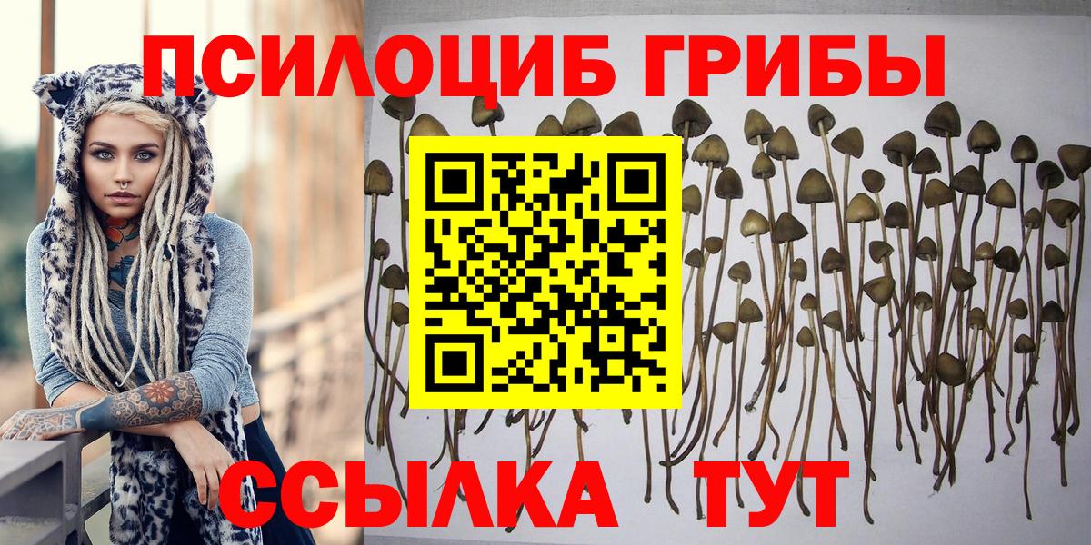 Псилоцибиновые грибы Psilocybine cubensis  Псилоцибиновые грибы ЛСД  Вход с VPN  Десногорск 
